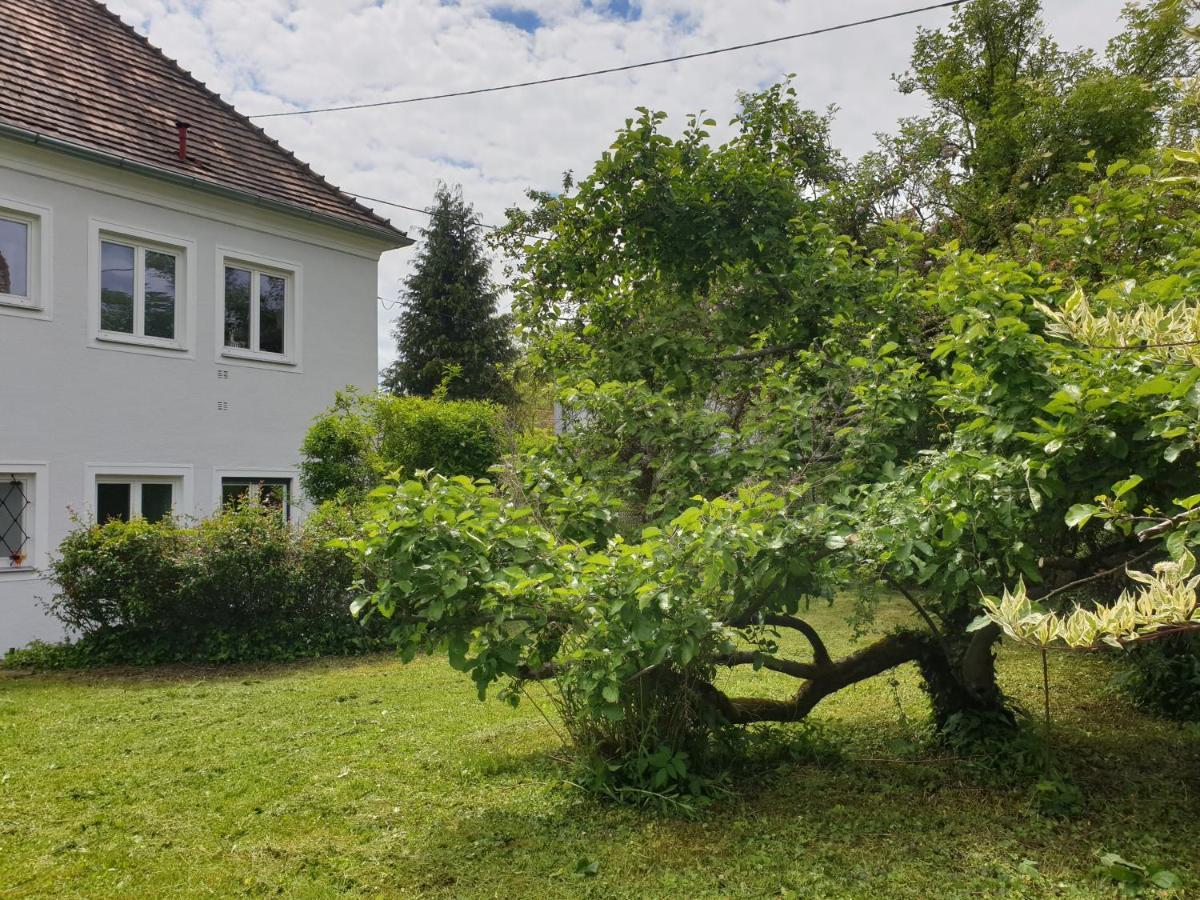 FAMILY APARTMENT LINZ Wohnen mit Garten am Fusse des Pöstlingbergs TOP LAGE Villenviertel Exterior foto